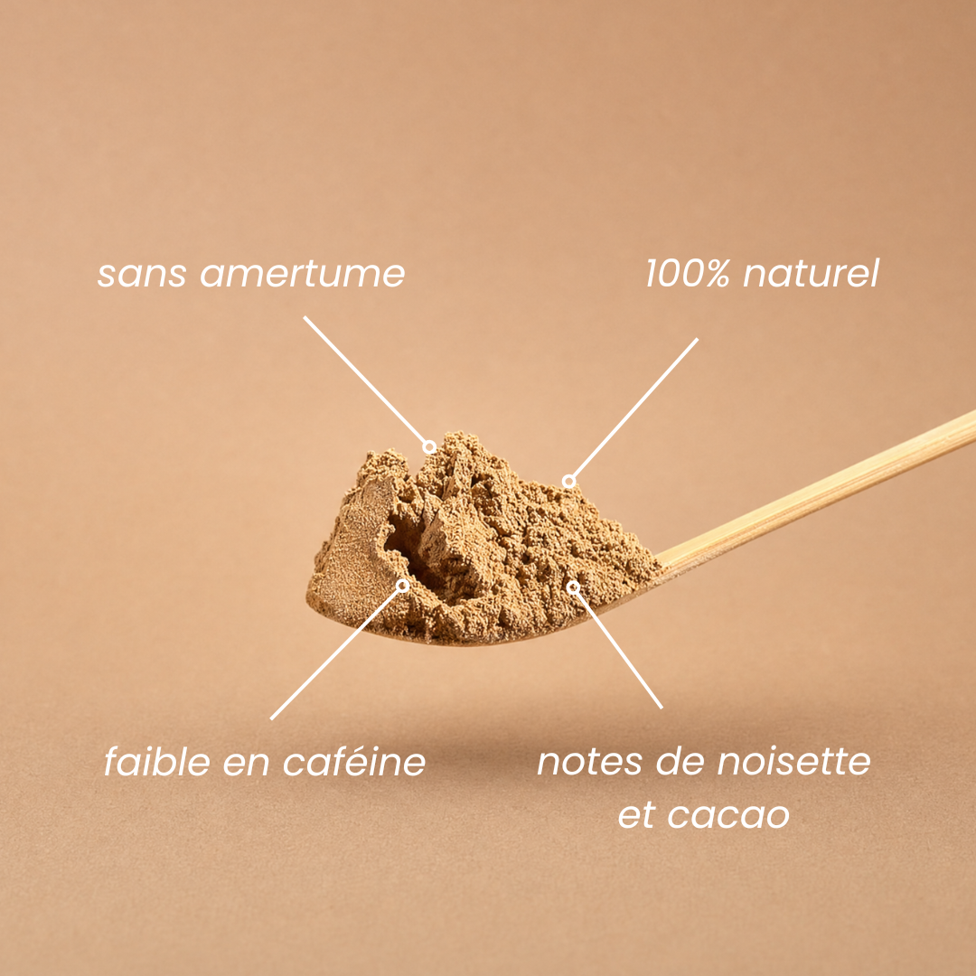 Poudre de Hojicha 100% Naturelle