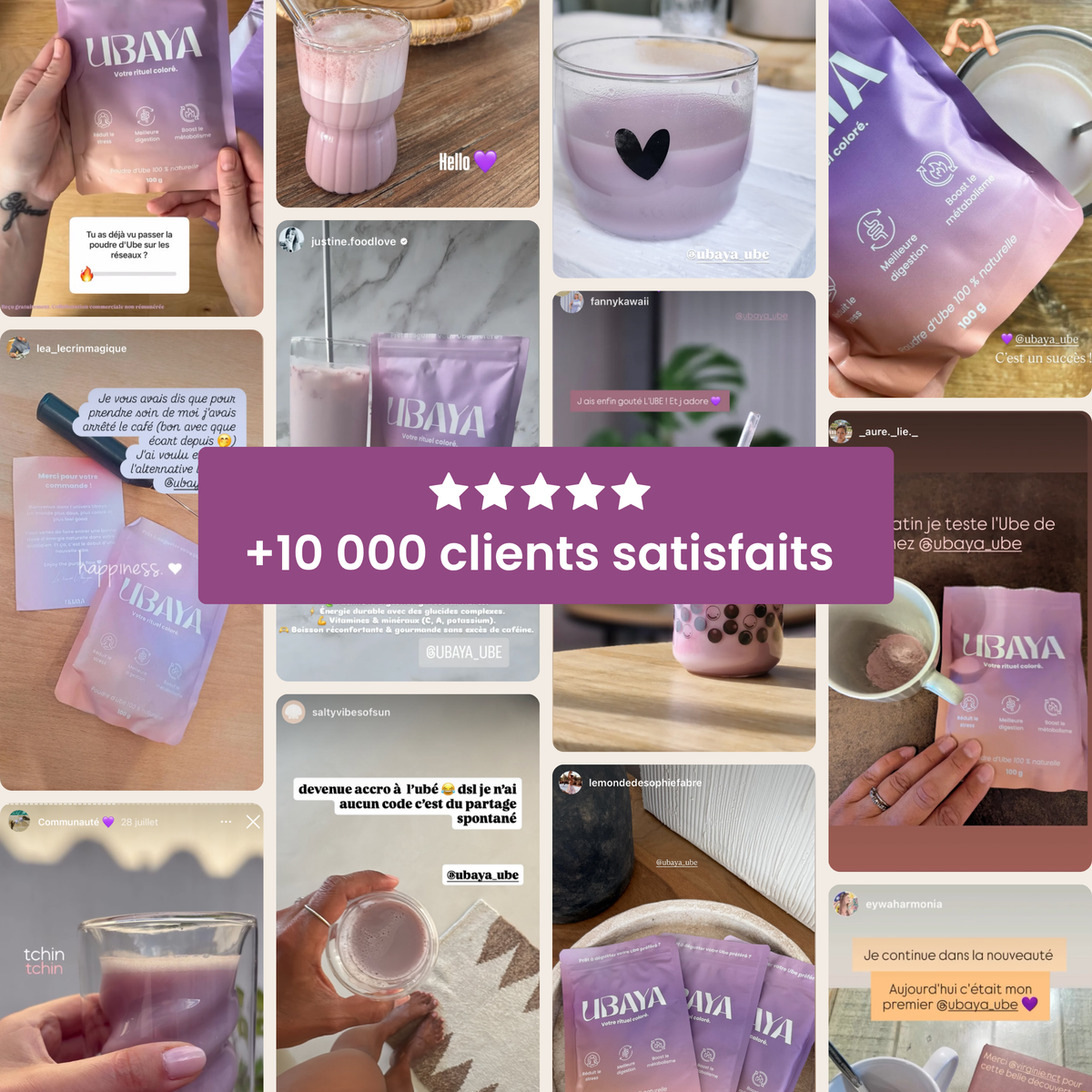 Poudre d’Ube 100% Naturelle