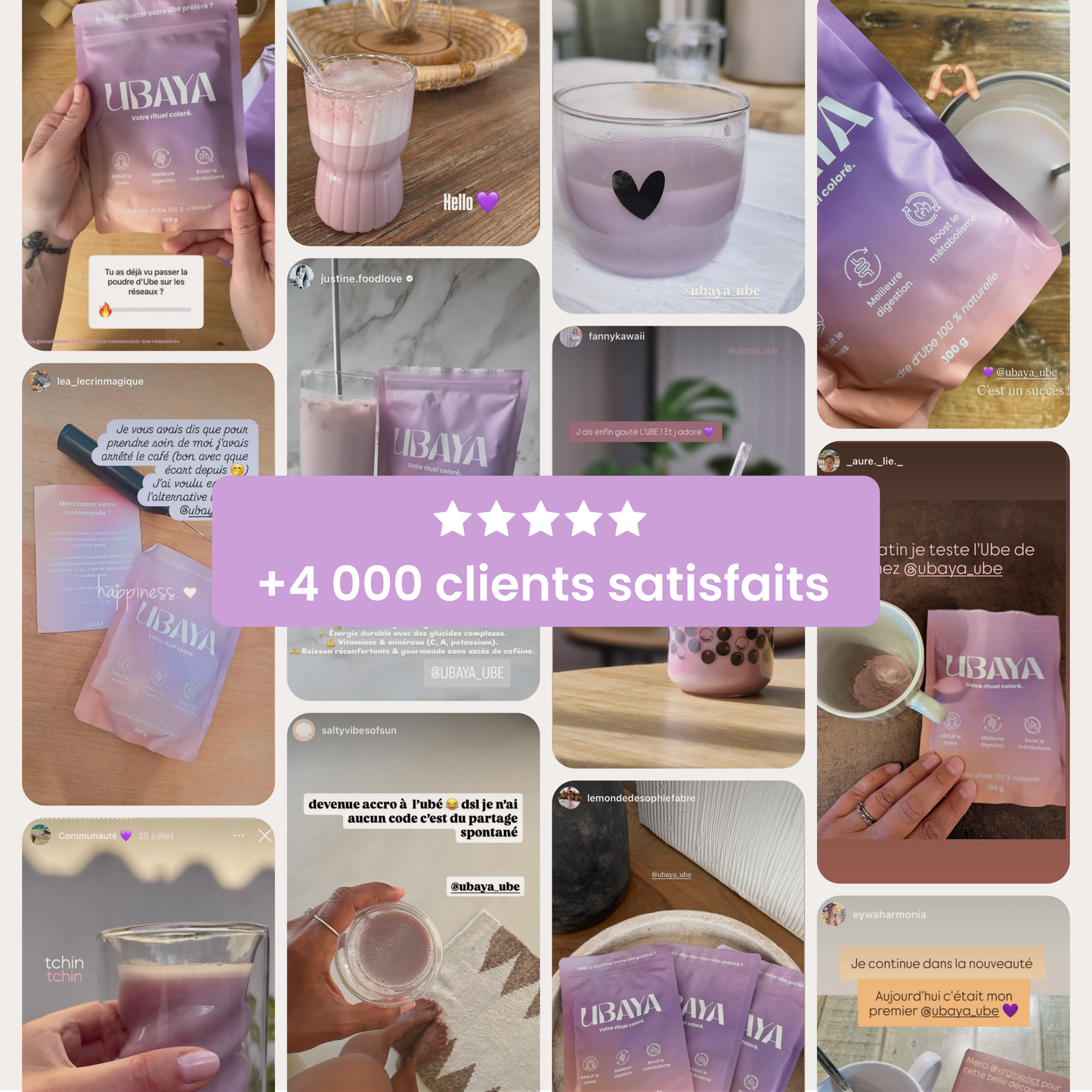 Poudre d’Ube 100% Naturelle